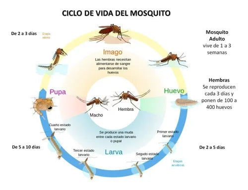 Repelente De Mosquitos Vela Citronela Cub. 300 Gr