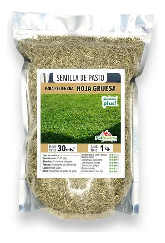 Semilla De Pasto Kikuyo Whittet + Inglés 1 Kg Hoja Gruesa