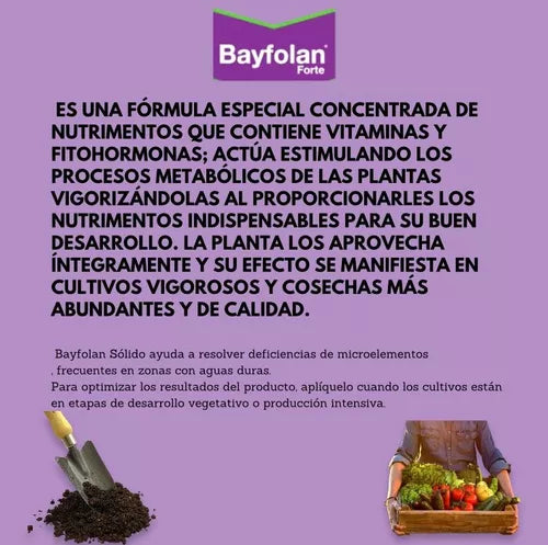 Bayfolan Forte Fertilizante Nutriente Foliar 1lt Bayer